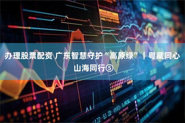 办理股票配资 广东智慧守护“高原绿”｜粤藏同心 山海同行⑤