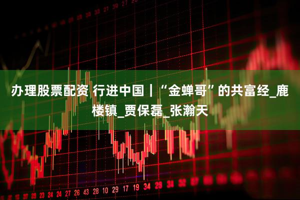 办理股票配资 行进中国｜“金蝉哥”的共富经_鹿楼镇_贾保磊_张瀚天